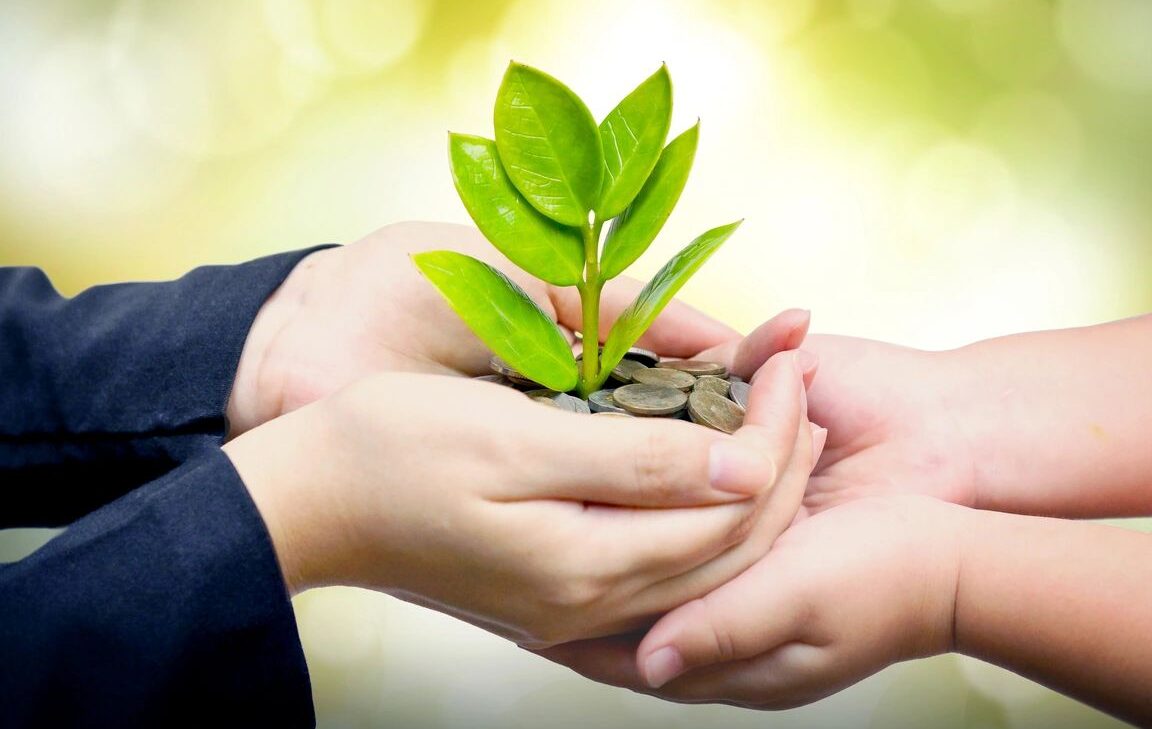 Two hands holding a plant and coins in it.